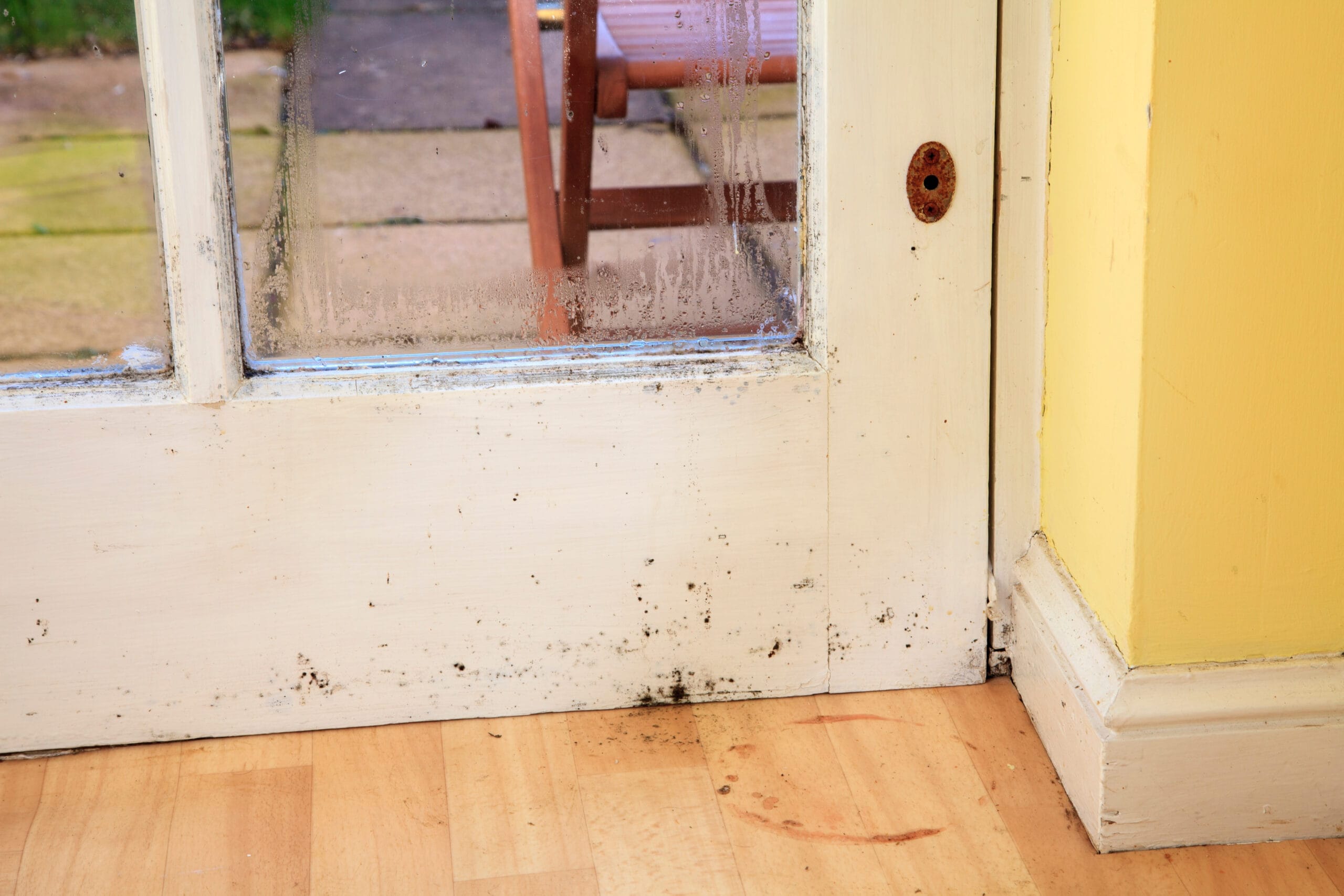 Why is Water Coming Through My Front Door?