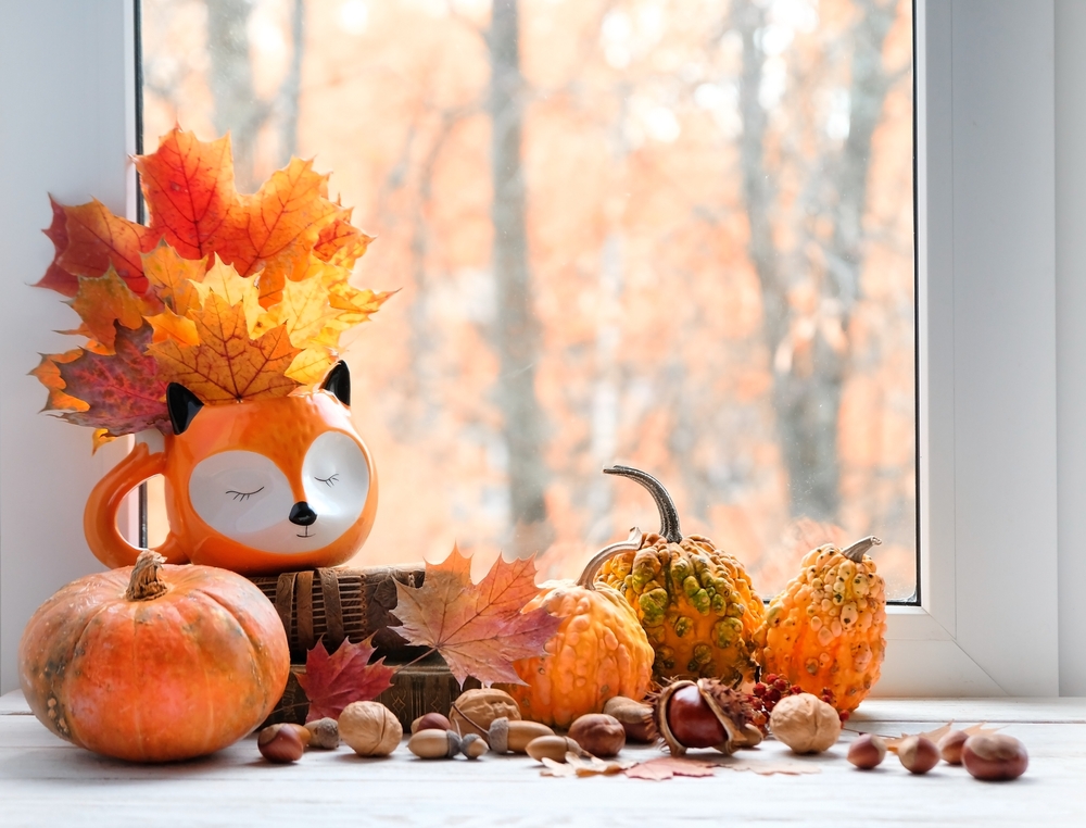 Get your windows autumn ready