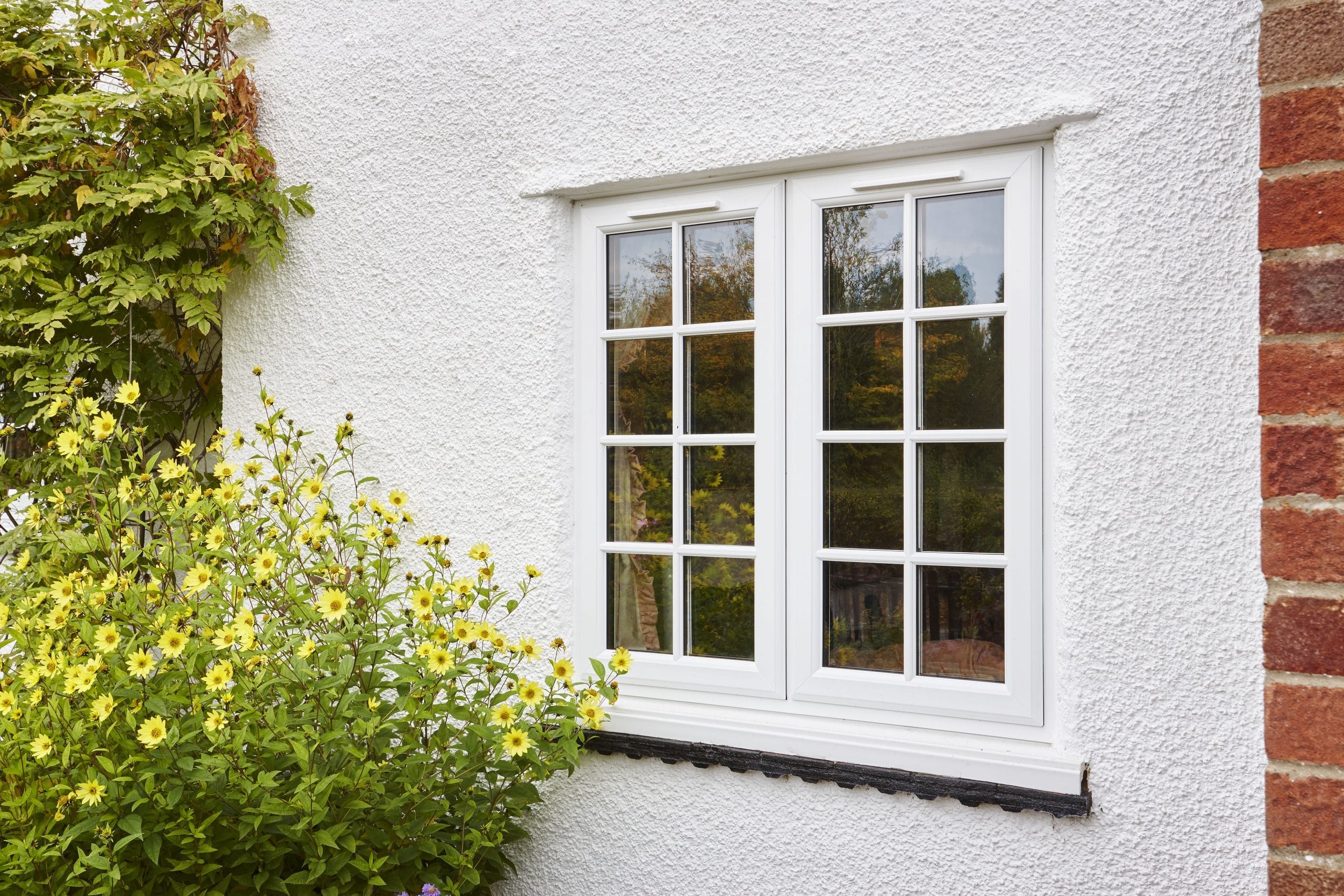 georgian style uPVC window on a white-walled house, next to a yellow flower bush.